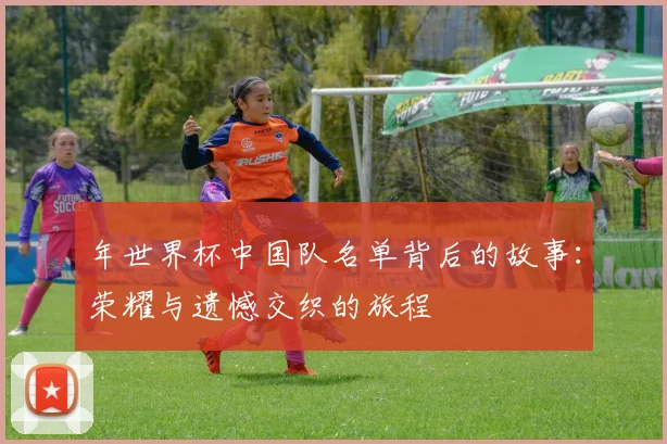 年世界杯中国队名单背后的故事:荣耀与遗憾交织的旅程
