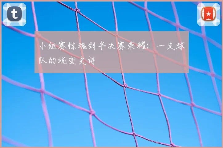 小组赛惊魂到半决赛荣耀：一支球队的蜕变史诗