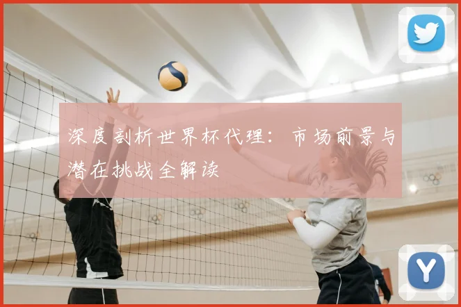 深度剖析世界杯代理：市场前景与潜在挑战全解读